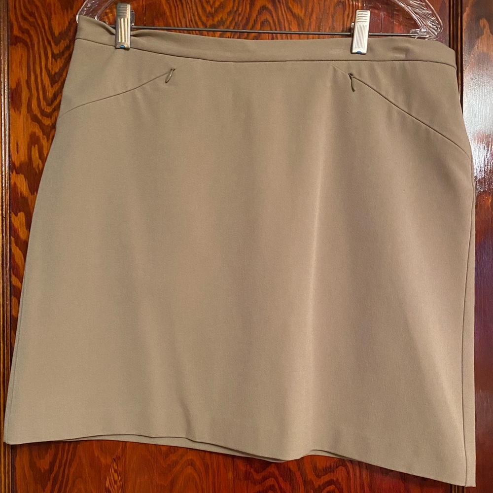 The Limited Tan Skirt